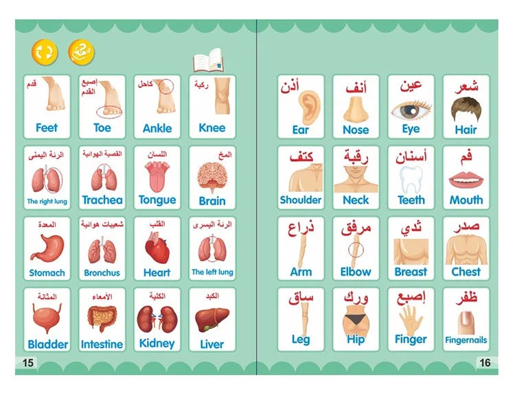 Arabisch-Englisches Elektronisches Lernbuch für Kinder – Interaktives Bildungsbuch mit Audio